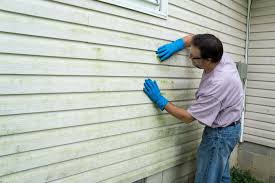 Best Siding Removal and Disposal  in Iowa Colony, TX